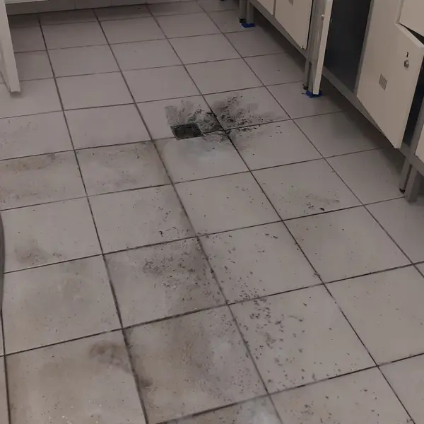 Realizacja sprzątania AVES Clean - zdjęcie 1