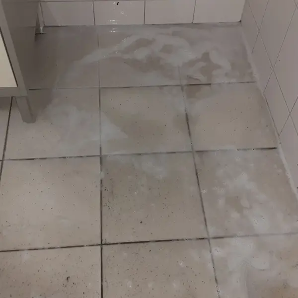 Realizacja sprzątania AVES Clean - zdjęcie 3