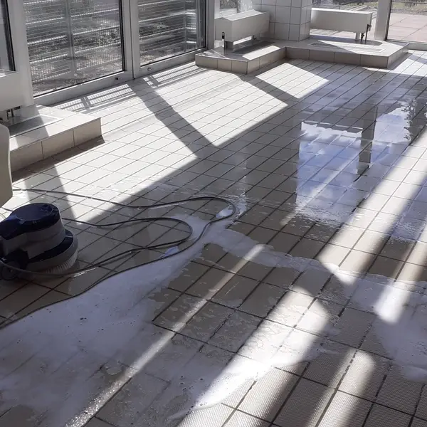 Realizacja sprzątania AVES Clean - zdjęcie 5