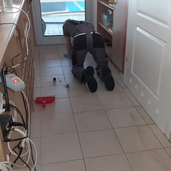 Realizacja sprzątania AVES Clean - zdjęcie 11
