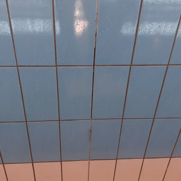 Realizacja sprzątania AVES Clean - zdjęcie 17
