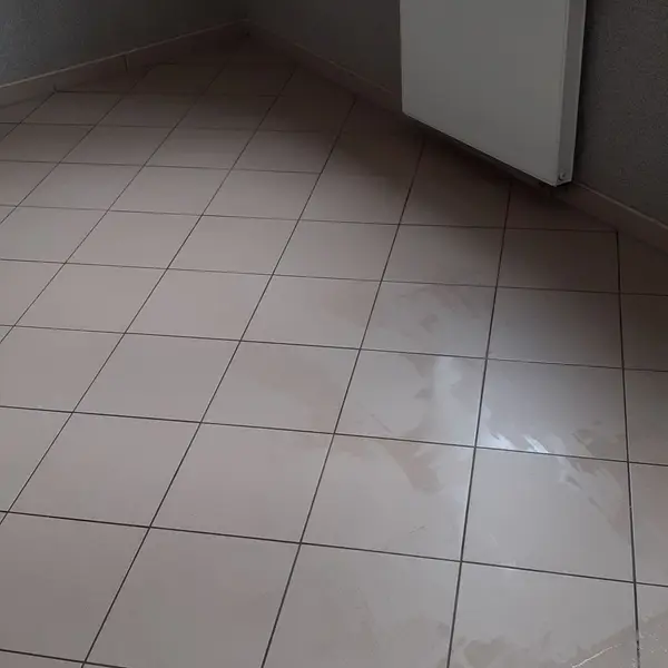 Realizacja sprzątania AVES Clean - zdjęcie 23