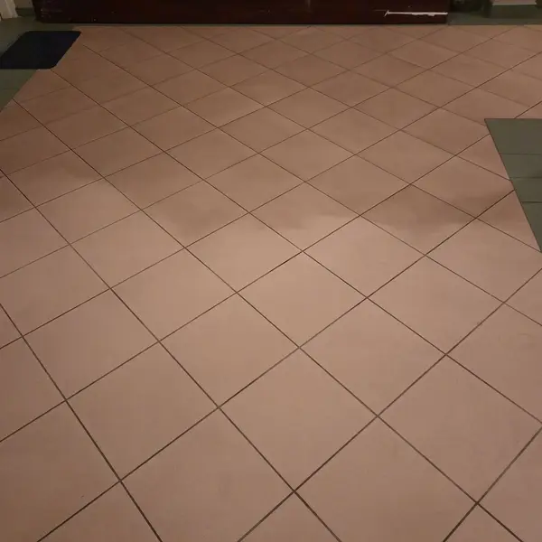 Realizacja sprzątania AVES Clean - zdjęcie 24