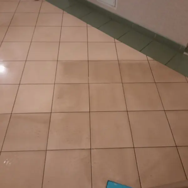 Realizacja sprzątania AVES Clean - zdjęcie 25