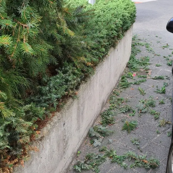 Realizacja sprzątania AVES Clean - zdjęcie 26