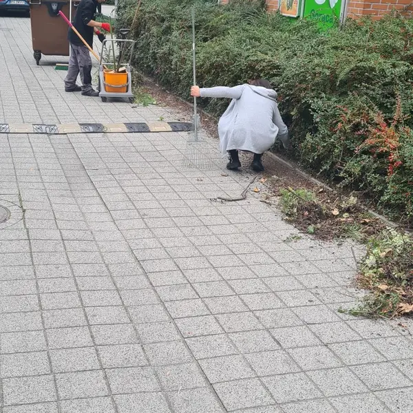 Realizacja sprzątania AVES Clean - zdjęcie 28